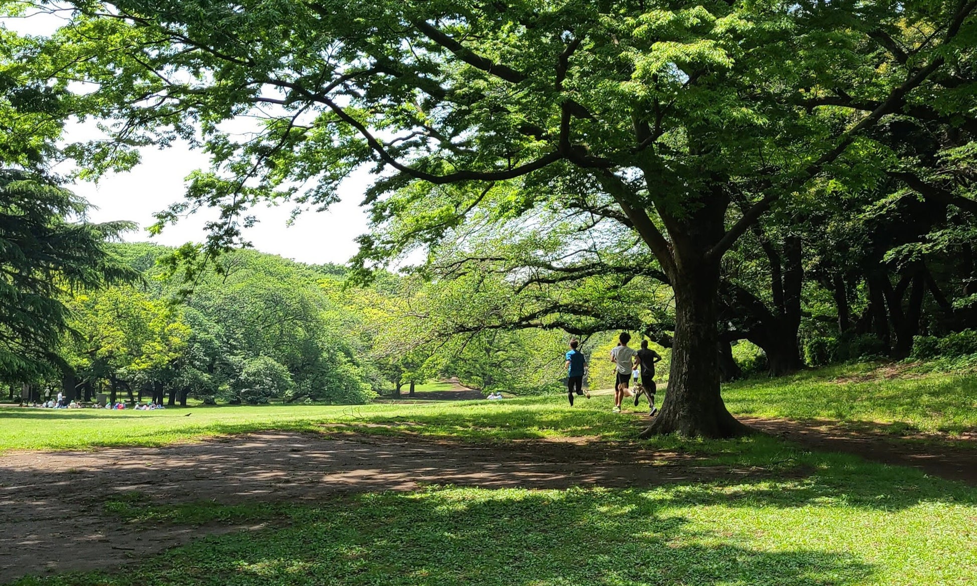 2025 年3月14日 東海エリアでは初となるSalomon直営店が名古屋にOPEN