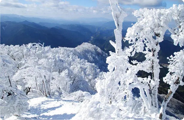 【大阪マリオット都ホテル】ストロベリーフェアを開催!旬のいちごをふんだんに使用したパフェや果実感たっぷりのスムージー、いちごカクテルのフリーフローも