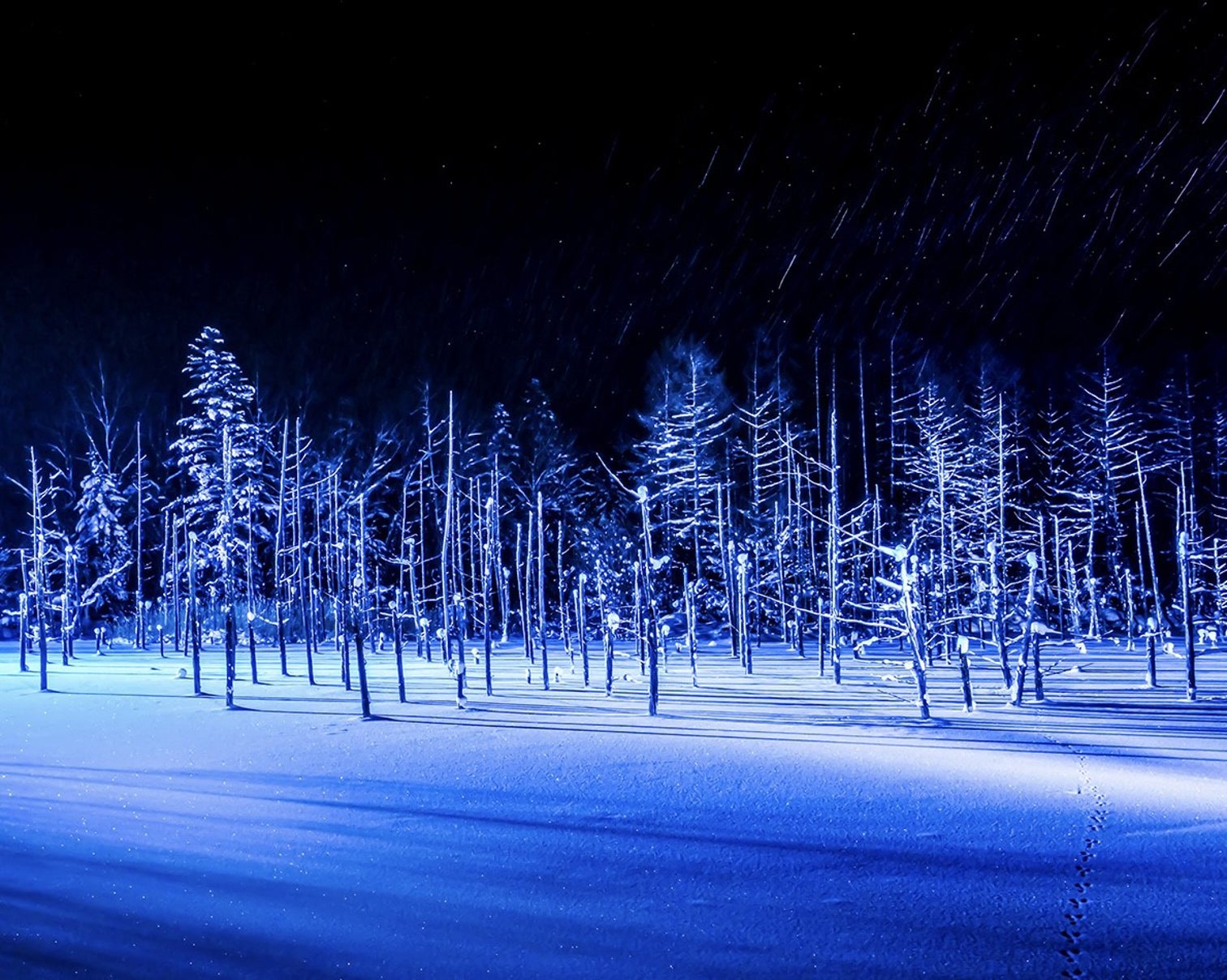 中国 上海の格式ある老舗ホテル「錦江飯店」のシェフを招聘し、本場ホテルの味わいとのコラボレーションフェアを開催【ザ・プリンス パークタワー東京】