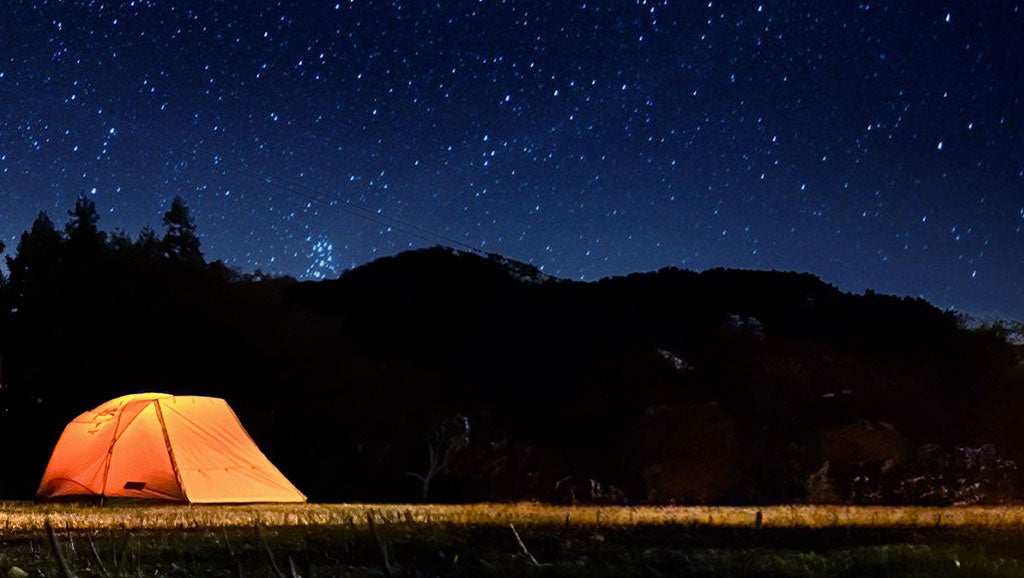 『すみっコぐらしすいぞくかん meets 仙台うみの杜水族館』開催間近!ここでしか味わえない限定コラボメニューを新たに公開!