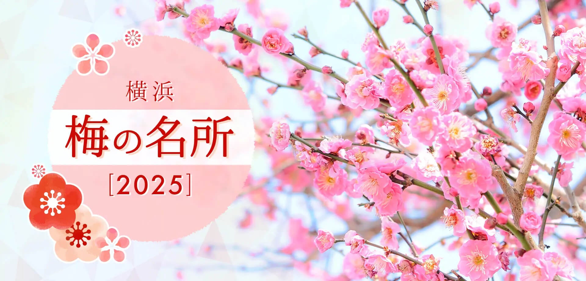 12月の外国人宿泊数1,529万人、2024年累計は過去最高:観光・インバウンドの最新動向がわかる!インバウンド情報まとめ「2025年2月前編」を訪日ラボが公開