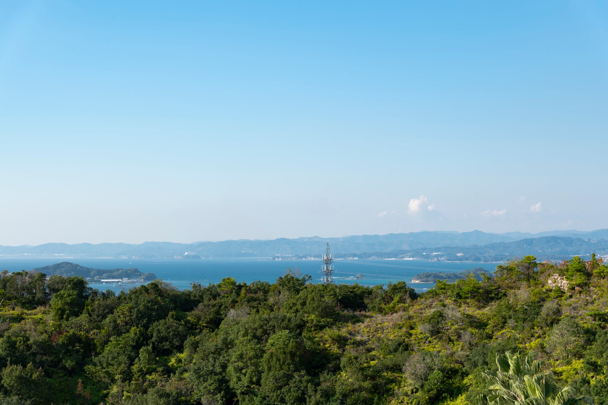 「万博記念公園 梅まつり」にチョーヤ梅酒が出店!利き梅酒イベント!チョーヤの梅を使った梅スイーツに梅パン祭!「CHOYA 大阪梅の陣2025」2月22-24日、3月1-2日の5日間開催!
