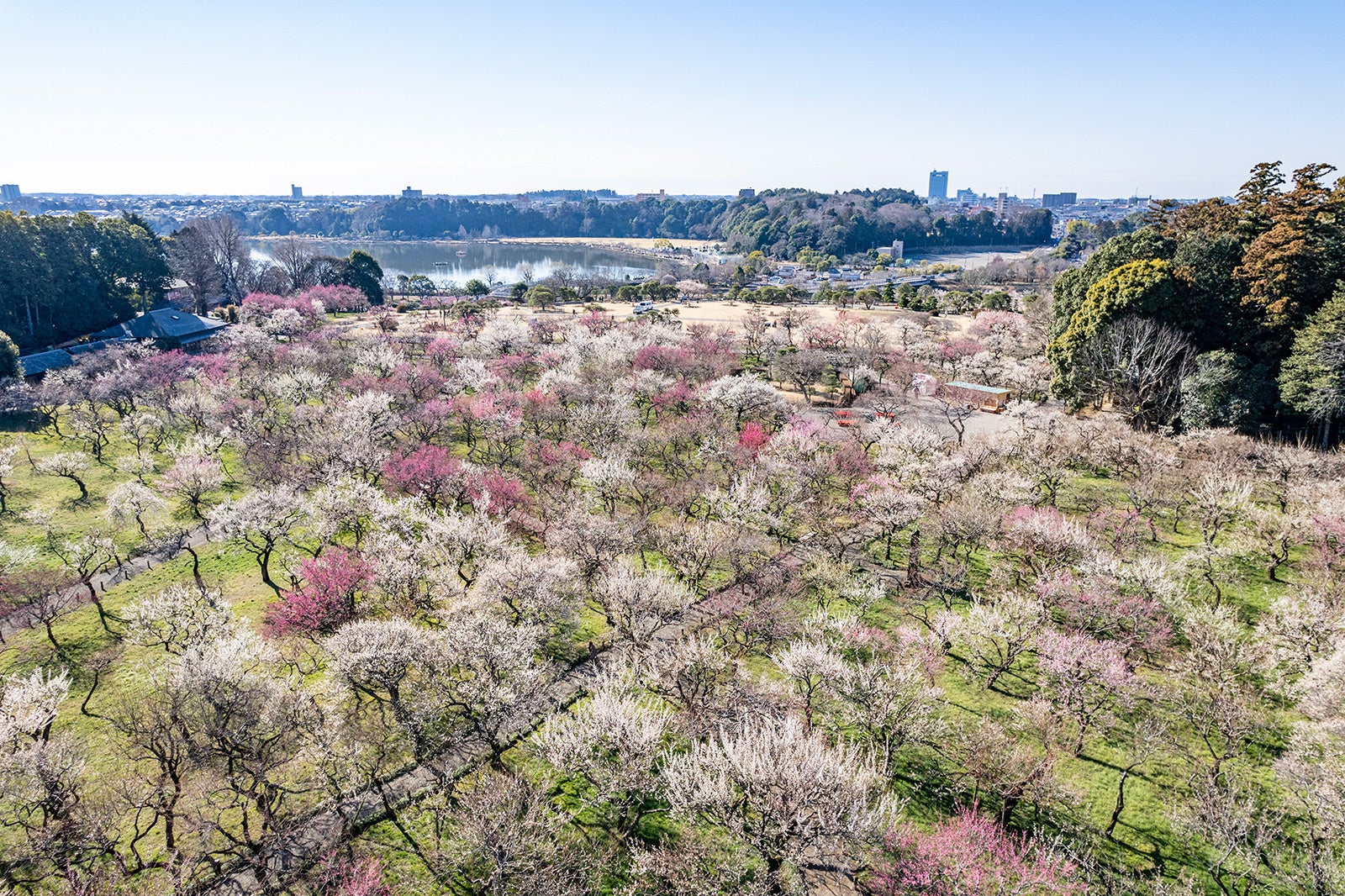 【新サイト情報】2025年夏、アウトドア業界初の設備を設置! SDGsを取り入れたプレミアムキャビンをOPEN予定