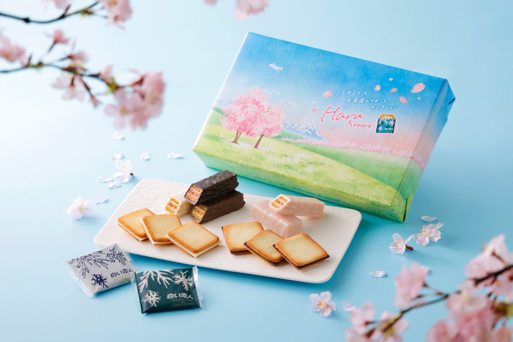 病障者の余暇選択を増やす活動「HAJIMARI」に、るうふ・SANUが参加