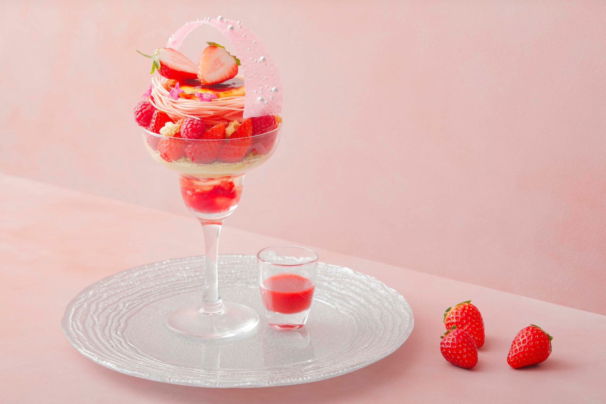 国内最大規模のスノーボード最新モデル試乗会参加ツアー「2025 SBJ ON SNOW FESTIVAL in 尾瀬岩鞍」を2025年3月14日~16日に開催