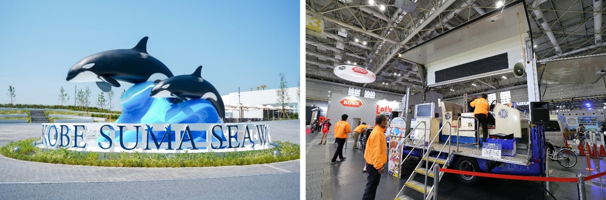 8月28日生まれのフタユビナマケモノの赤ちゃんハーフバースデーおめでとう!飼育スタッフ手作り遊具と、離乳食で「1/2」と描いた特別プレートをプレゼント♪