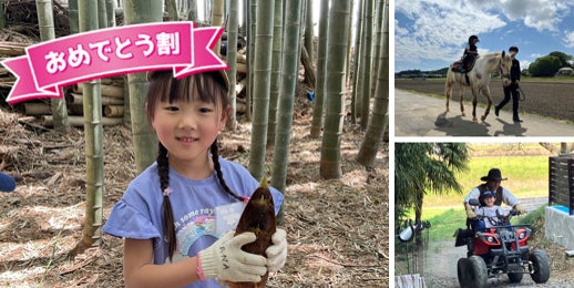 桜舞う季節のご褒美アフタヌーンティー ストリングスホテル東京インターコンチネンタルがお届けする、桜といちごが奏でる 心ときめく春のひととき。「桜いちごアフタヌーンティー」3月1日より販売開始