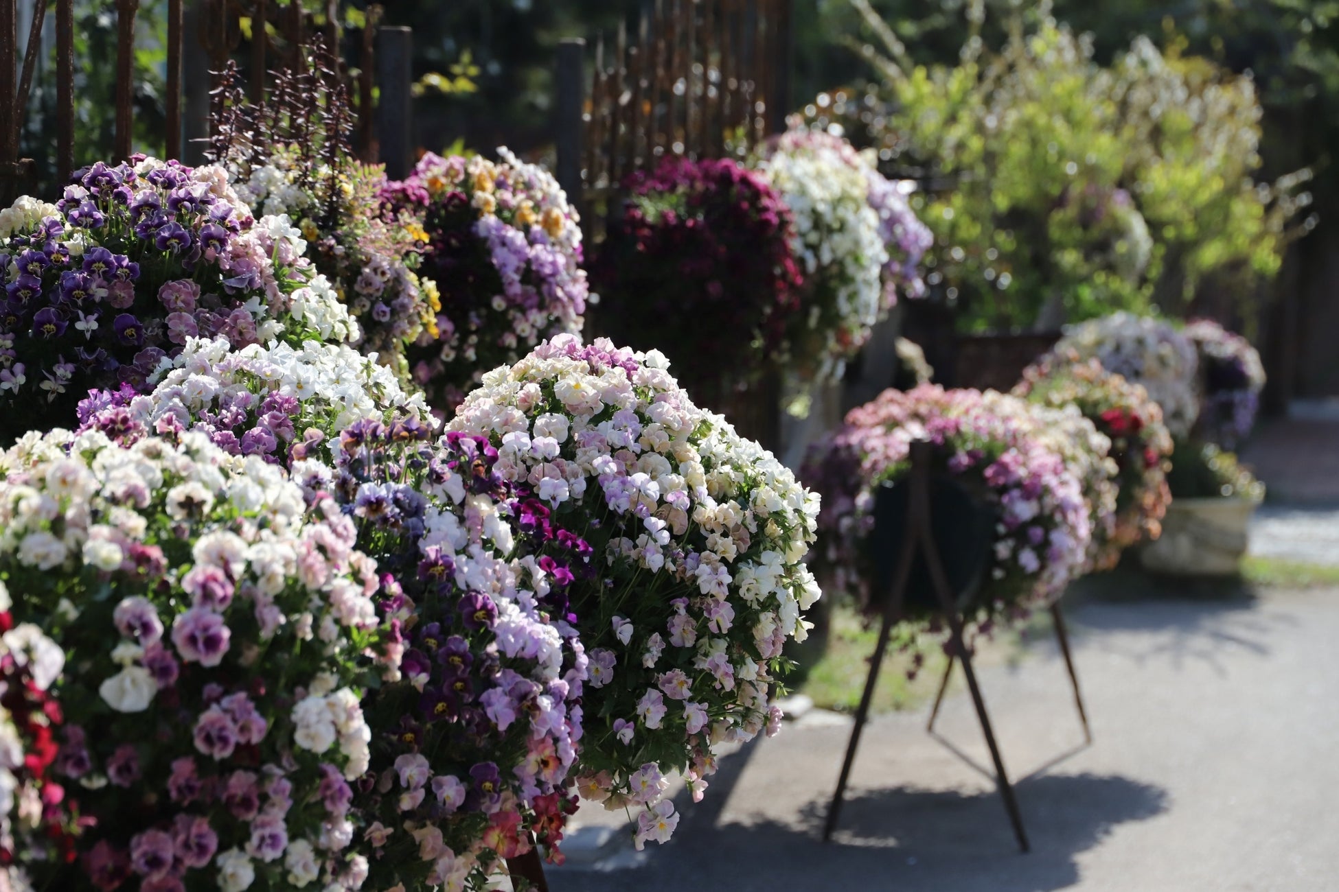 【2/22猫の日限定】楽天市場で先着200名に50%OFFクーポン配布!猫用品全品対象!ハンモックや爪研ぎ、ベッドも半額♪お得なこの機会をお見逃しなく!数量限定なのでお早めにチェック!