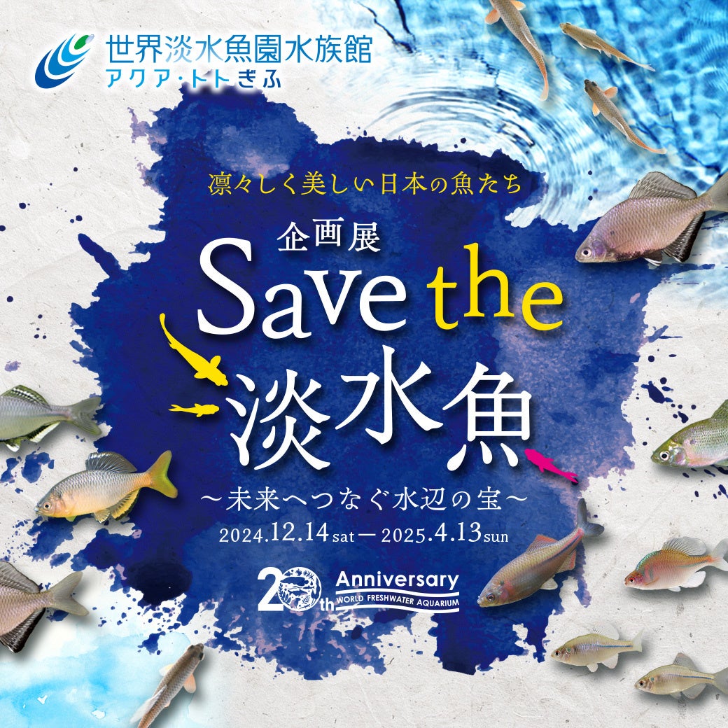 開湯50周年！温泉総選挙2024美肌部門全国３位・道内１位受賞記念！　いわない温泉「湯まつり」を開催！