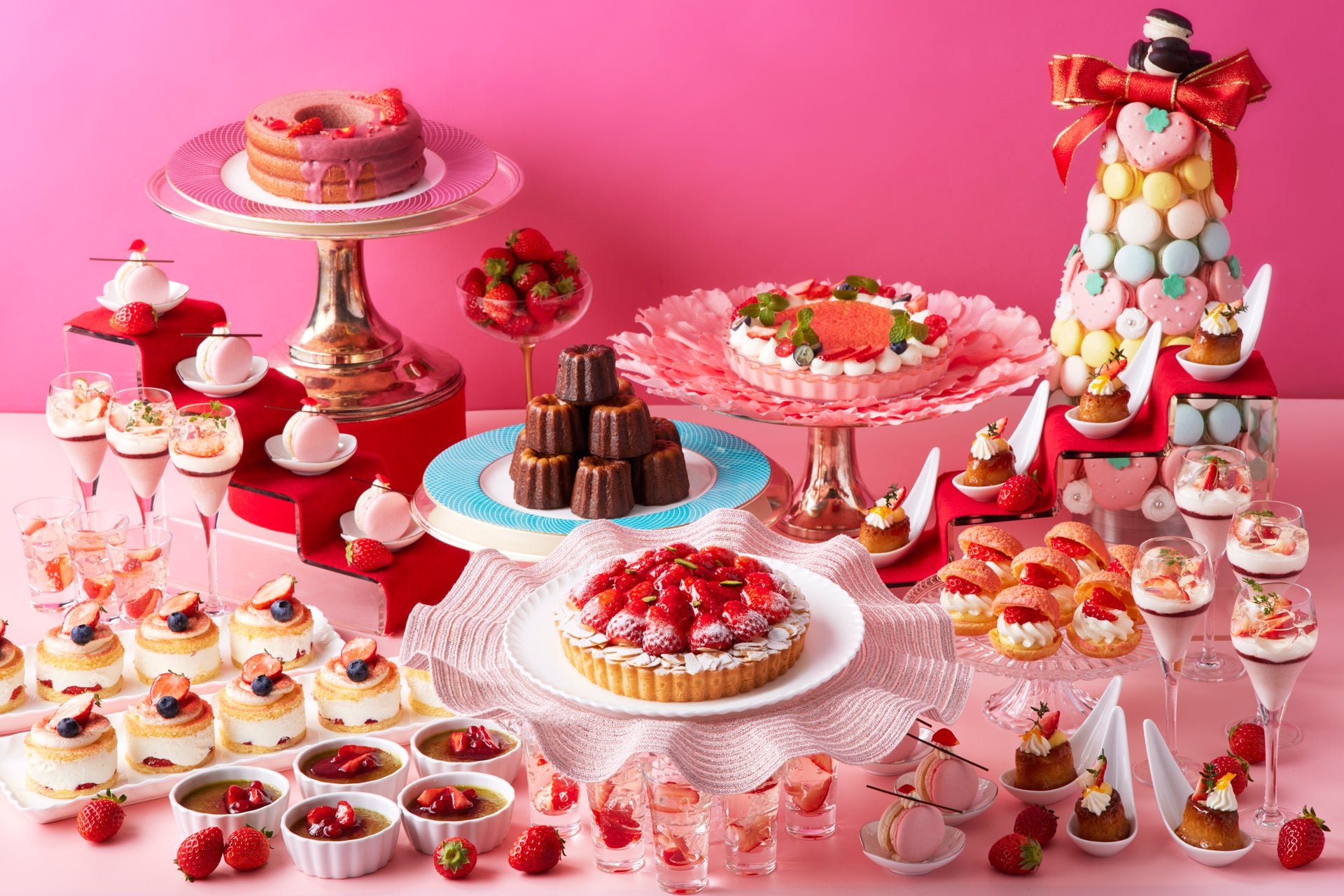 国内の汽水・淡水魚のうち169種が絶滅危惧種！　そのうち30種を常設展示する淡水魚水族館が、企画展『Save the淡水魚』を開催