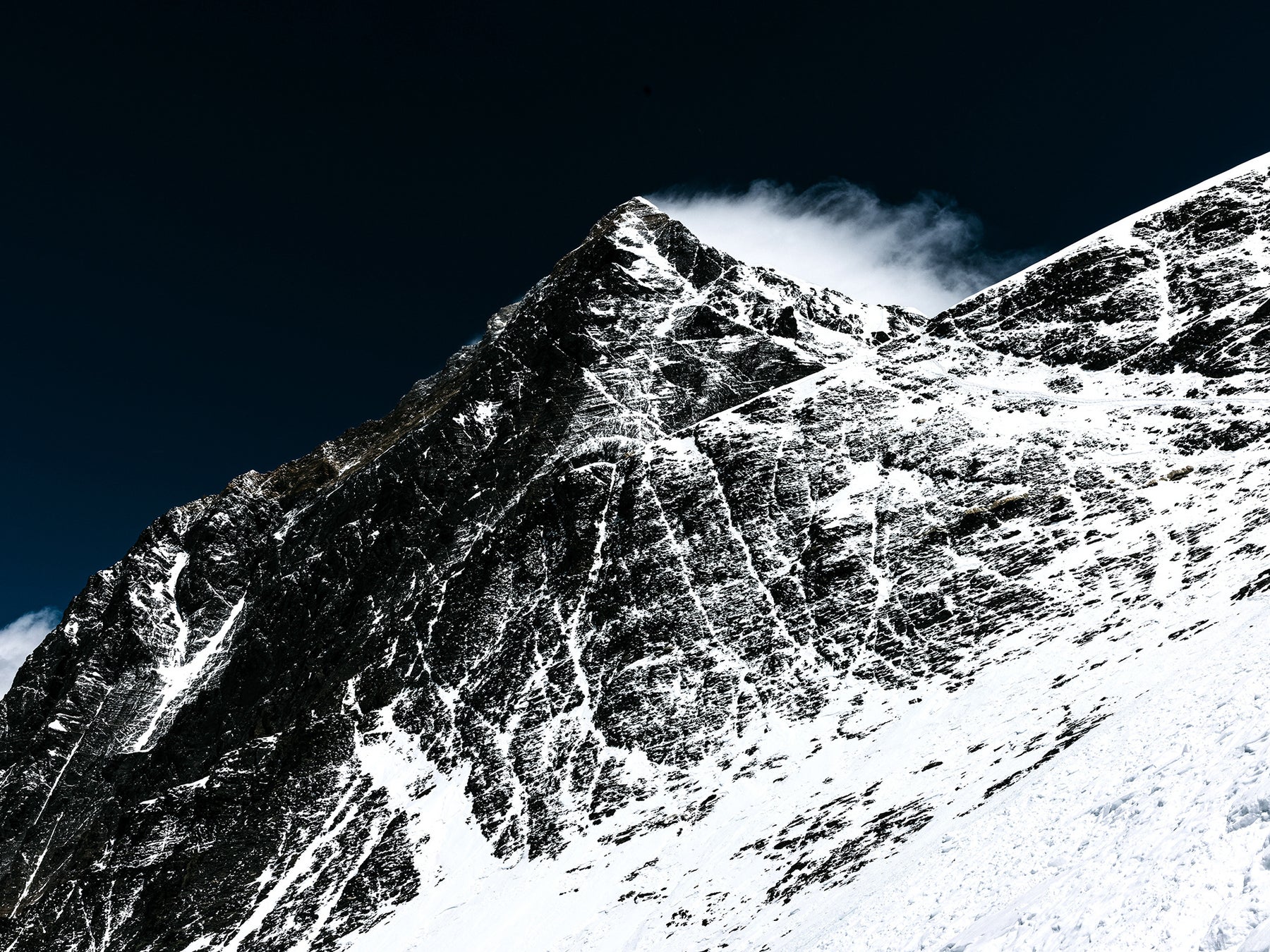 <イベントレポート>透明度抜群の冬の海で繰り広げる水中フォトコンテスト!パパラギダイビングスクール主催 「クリスタルカップ2025」開催報告