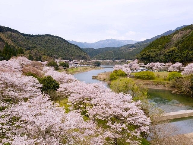 【没入（イマーシブ）型旅行体験】調査継続希望の声にお応えし、7月21日（月）まで延長。箱根仙石原プリンスホテルで事件の調査と謎解きに挑むゲームイベント