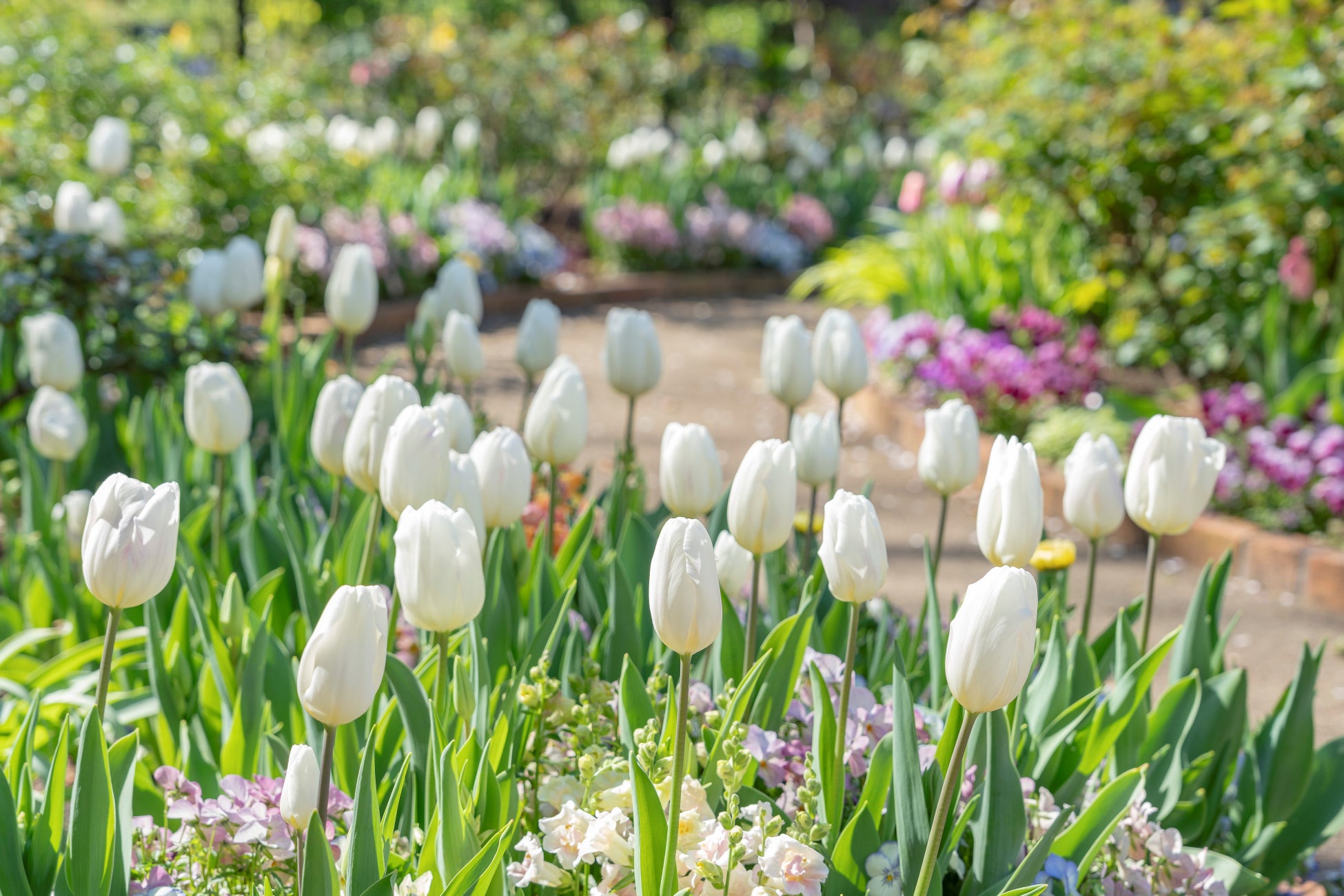 ホテル アゴーラ 大阪守口 「The Rooftop Beer Garden ワールドクルーズ2025」開催 世界の味を一度に楽しむ、贅沢なビアガーデン