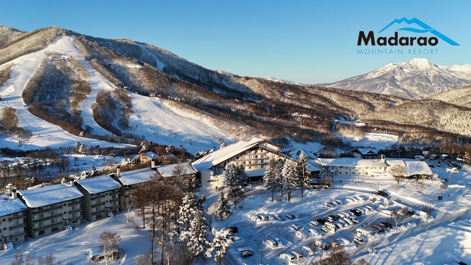 動物たちのいのちを未来へ ニフレルよりミニカバ1頭がアドベンチャーワールドへ仲間入りします!