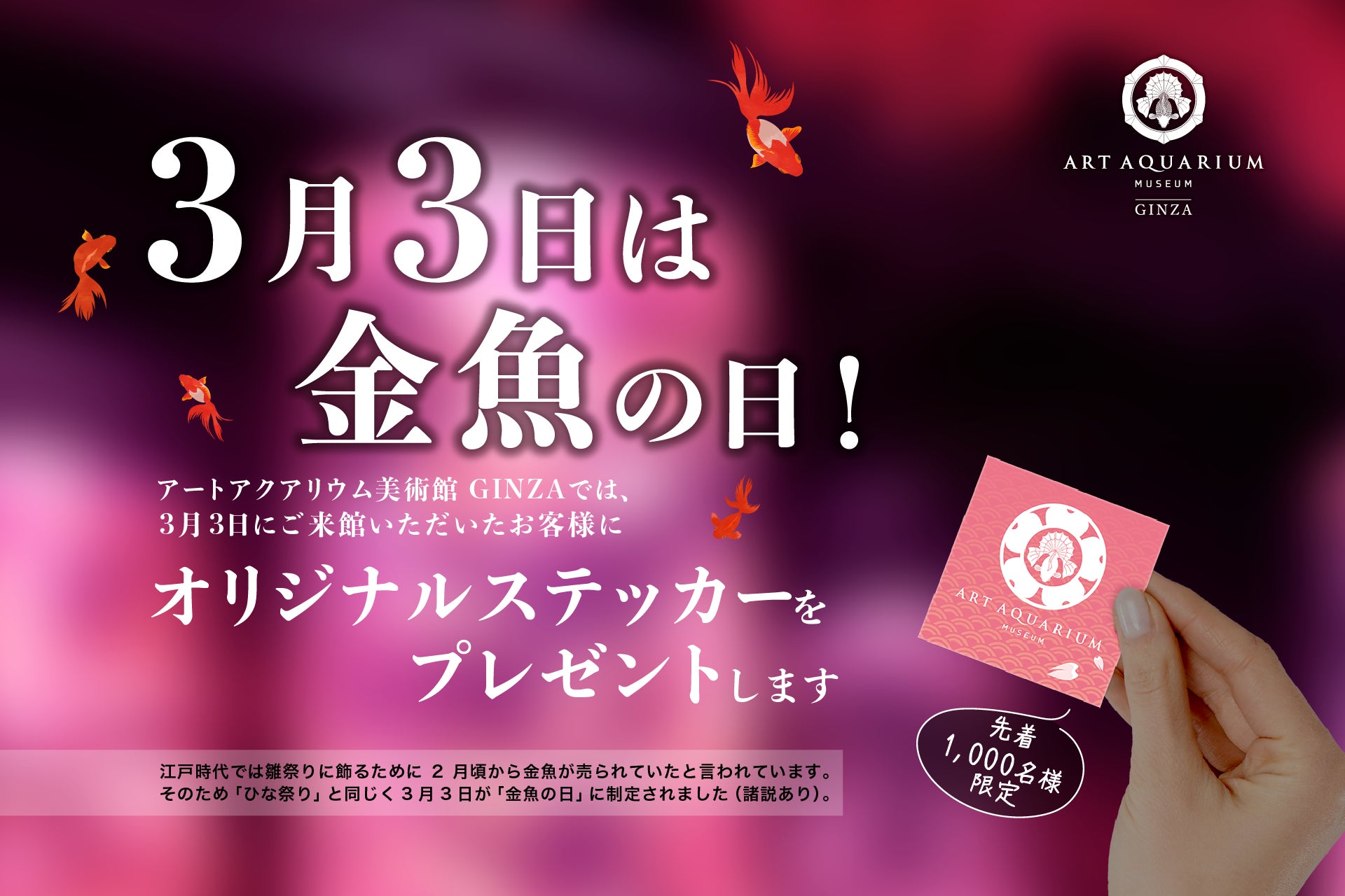 長野県 斑尾高原スキー場、1月の売上が昨対比156%を記録!インバウンド来場者昨対比434%と急増!