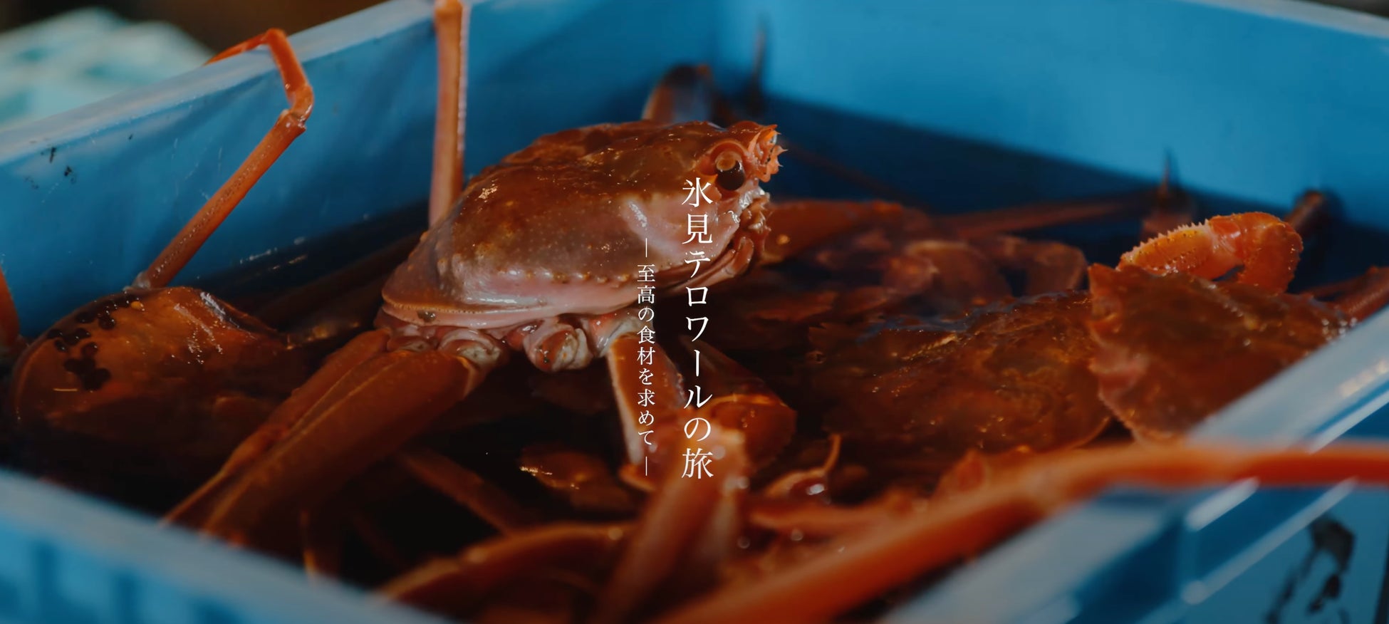 池袋の路地裏にある小さな素泊まりホテル『ホテルアーバン』 【楽天トラベルゴールドアワード2024】受賞!2連覇達成!!ゴールド受賞施設は都内3施設のみ!