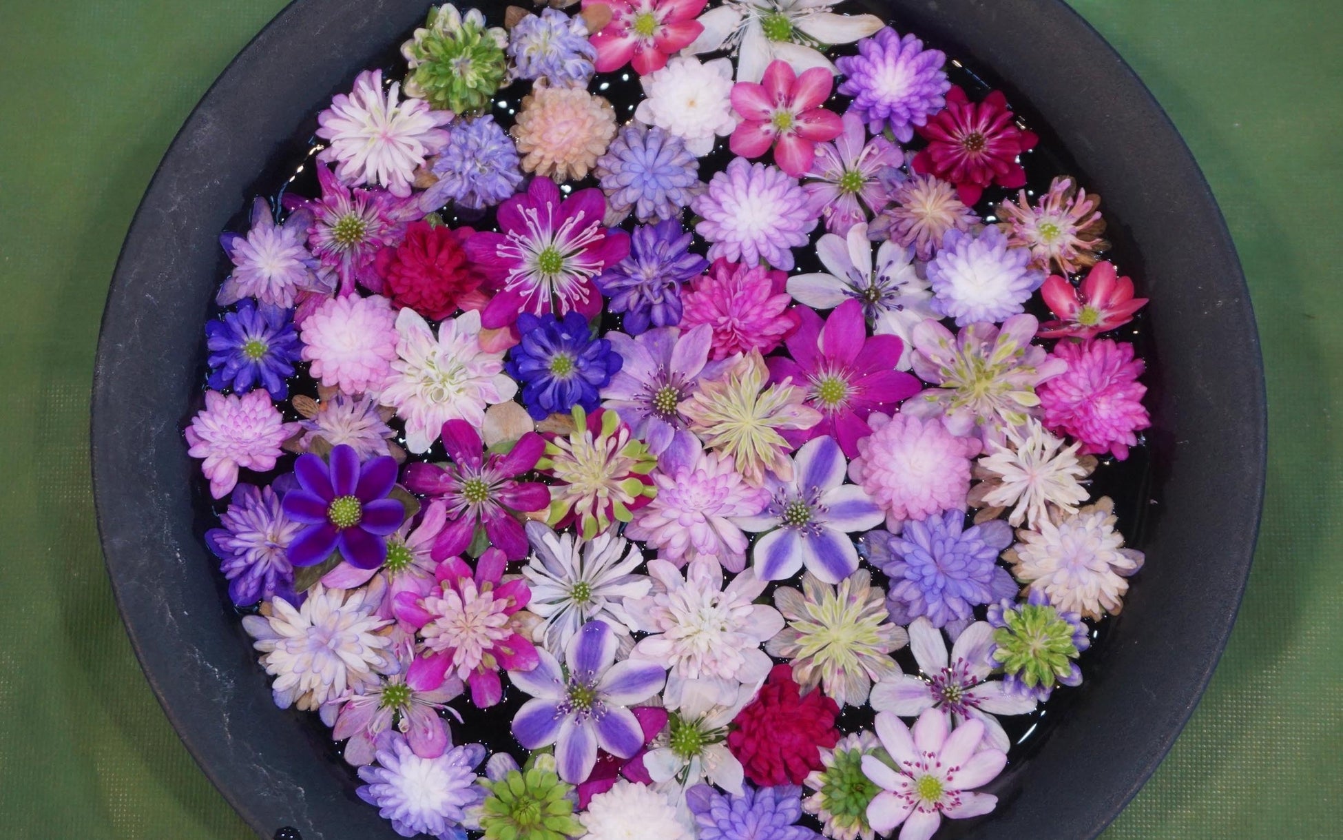 【ギャリア・二条城 京都】桂甫作 安藤人形店の雛人形展示~京の伝統美と職人の技を堪能~