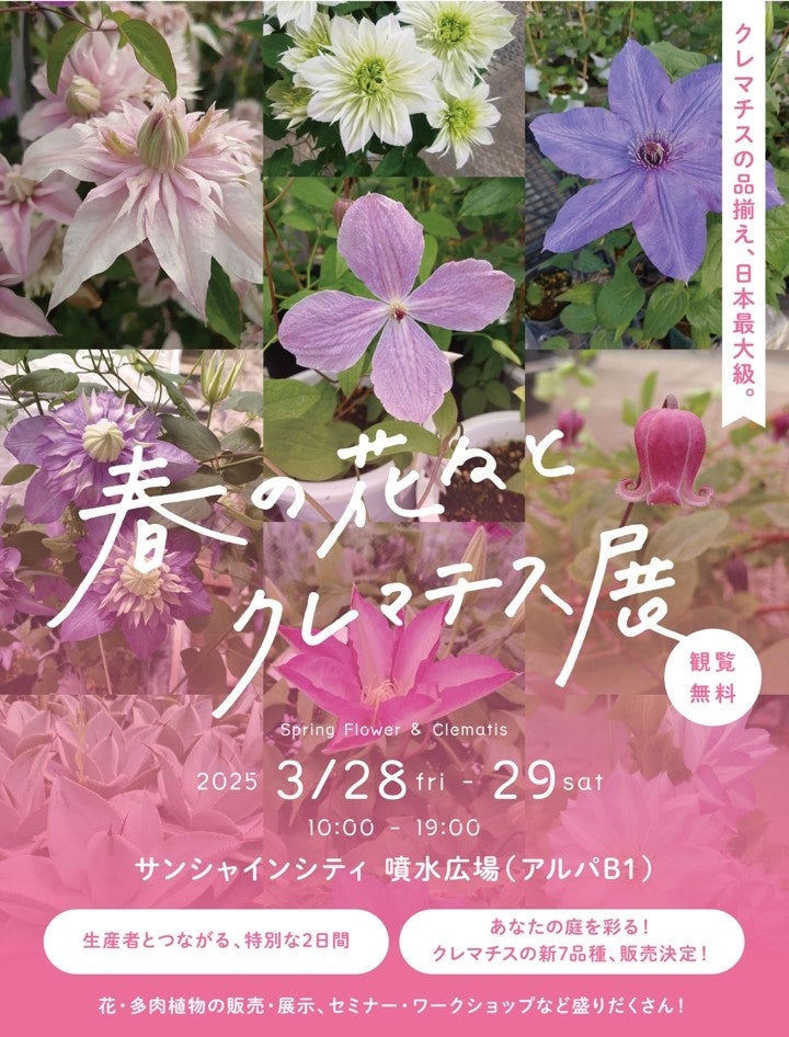 時之栖30周年Yearのスタートを華やかに彩る、イルミネーション「ひかりのすみか」のグランドセレブレーション！一夜限りの花火×ダンスショー×噴水レーザーショーのスペシャルイベントを初開催