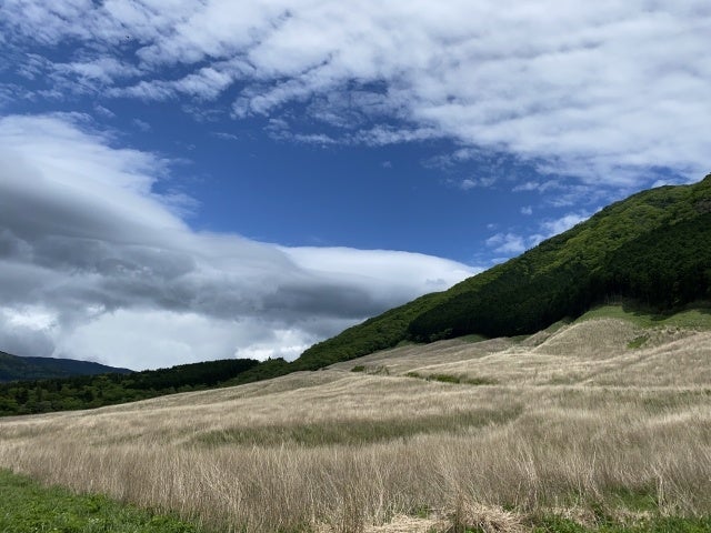 スイセン、ウメ見頃です【国営海の中道海浜公園】