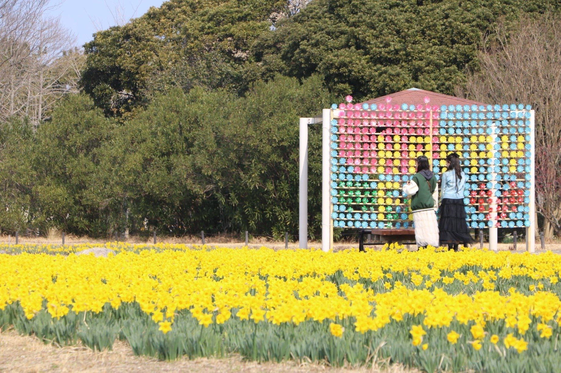 京急 EXイン 品川・新馬場駅北口、2025年3月3日 リニューアルオープン!