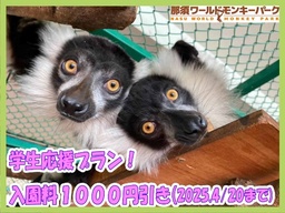 【コスプレイヤー無料】RED° TOKYO TOWERとONIGIRI Plusのコラボレーションが実現 3月29日(土)、コスプレイベント「RED° Cosplay Party 2025」を開催!