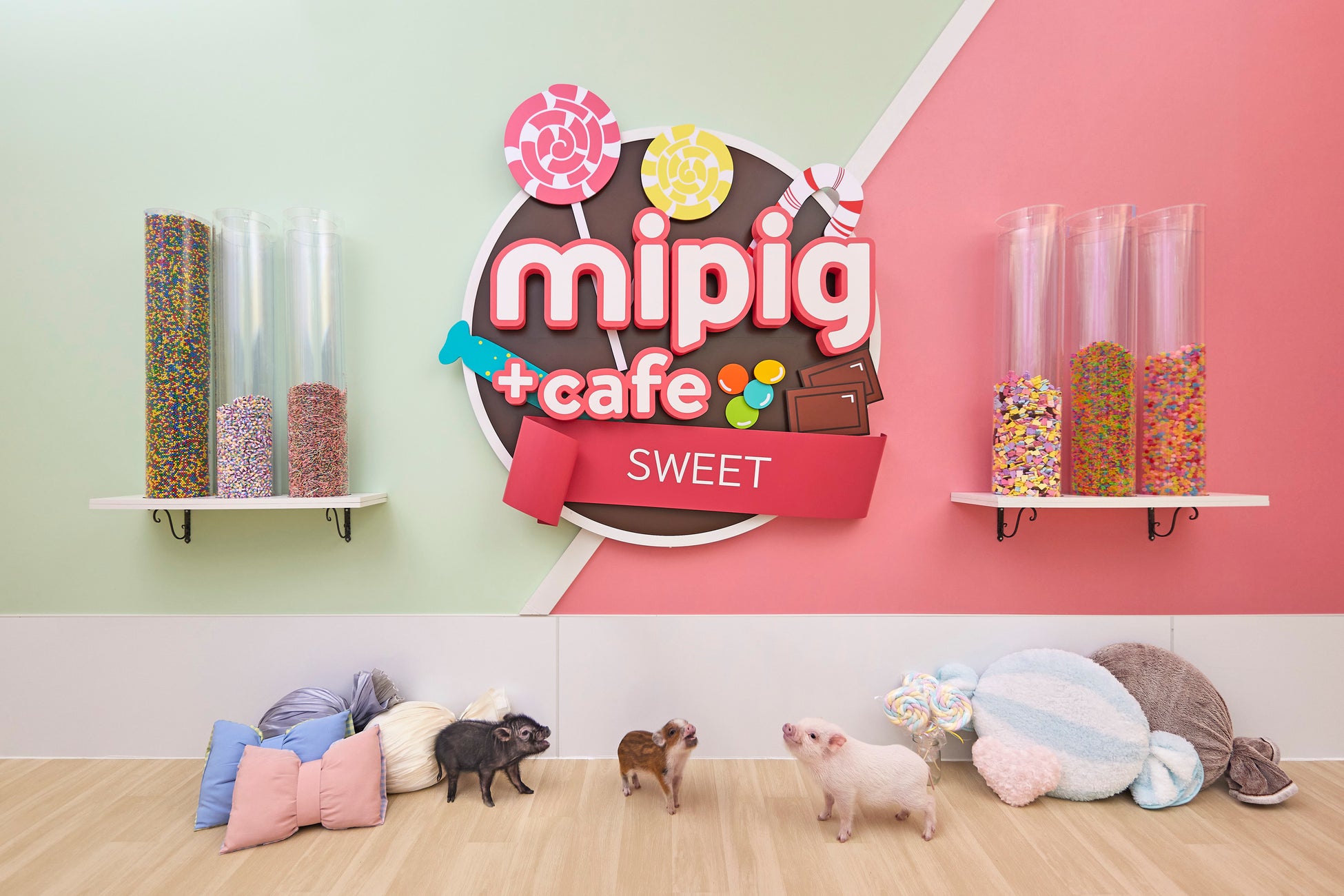 世界一周堂を立ち上げた角田直樹が語る！「人生が豊かになる世界一周旅行」とは？特別セミナーを4月19日（土）BAR FIVE Arrows@西新宿とオンライン@ZOOMでハイブリッド開催！