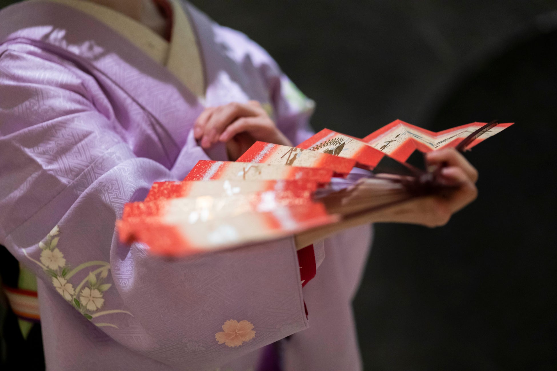 ひらかたパークよりレッサーパンダ1頭が仲間入りします!