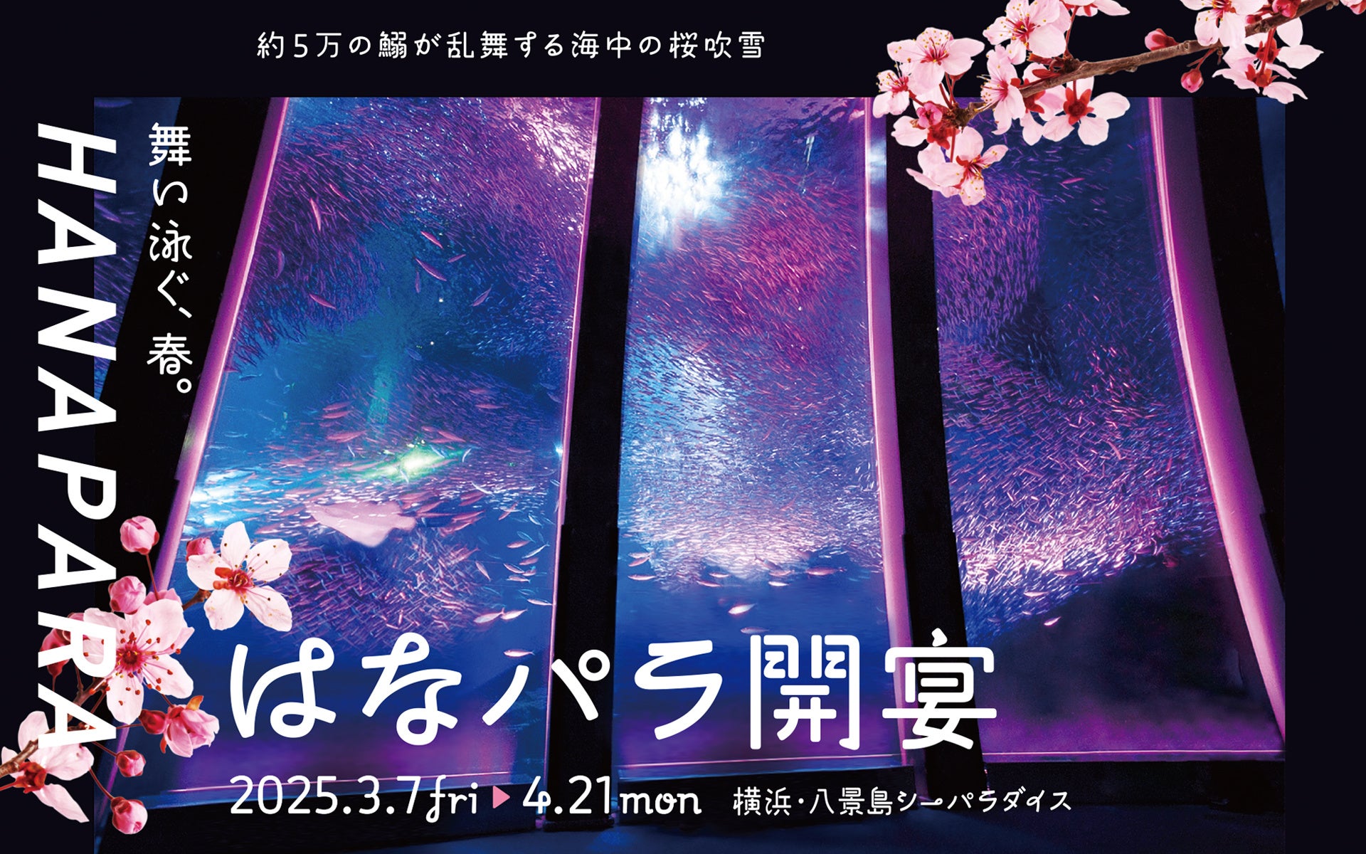 2025年問題「超高齢化社会」を地域観光の転機に 香港・台湾の訪日経験者が注目する「日本のシニア世代」、暮らしや知恵が観光資源に