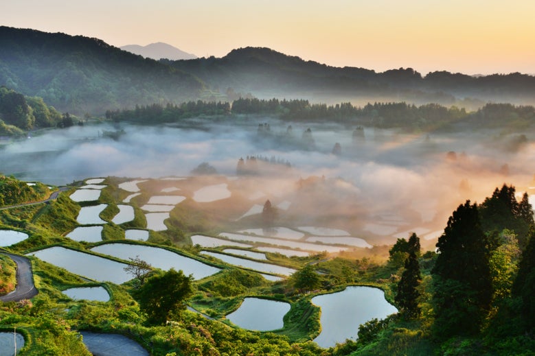 Wayfarer、FANCL創業者のファミリーオフィス池森ベンチャーサポート合同会社などから成長資金調達を完了