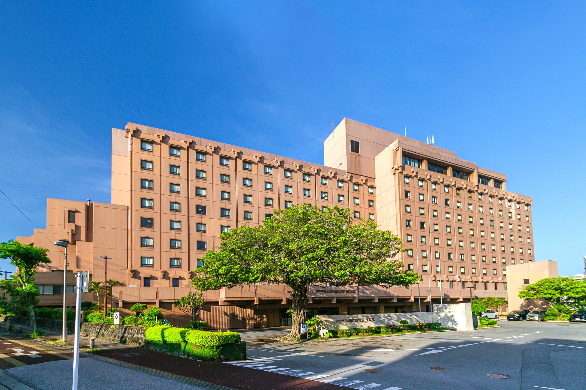 高濃度のもっちり泡で“泡洗口” いつでも簡単口内ケア！「アワアワしようぜ！新習慣マウスウォッシュ」