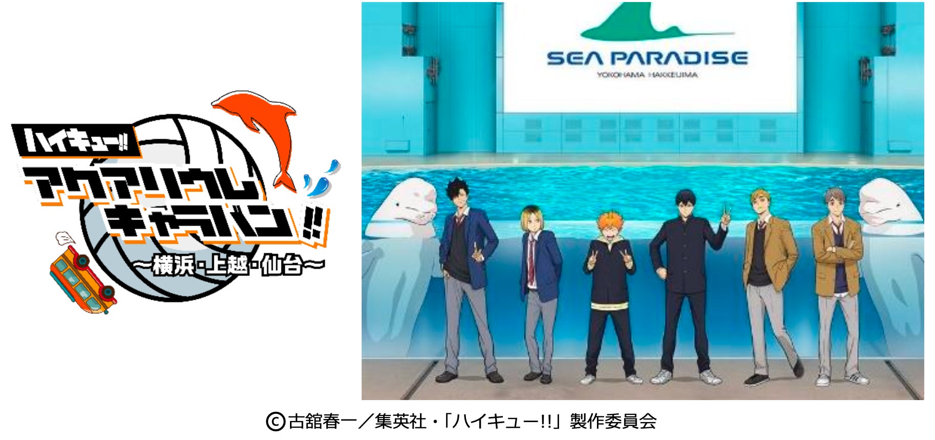 【横浜・八景島シーパラダイス】3つの水族館で”繋ぐ”コラボレーション企画　株式会社横浜八景島で初となる巡回イベントを開催！『ハイキュー!!アクアリウムキャラバン!!～横浜・上越・仙台～』