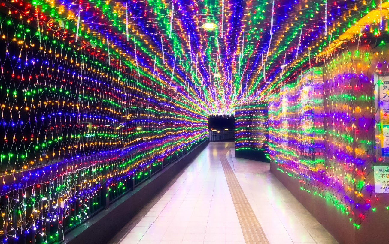 万博会場のシンボル「大屋根リング」がギネス世界記録™に世界最大の木造建築物として認定