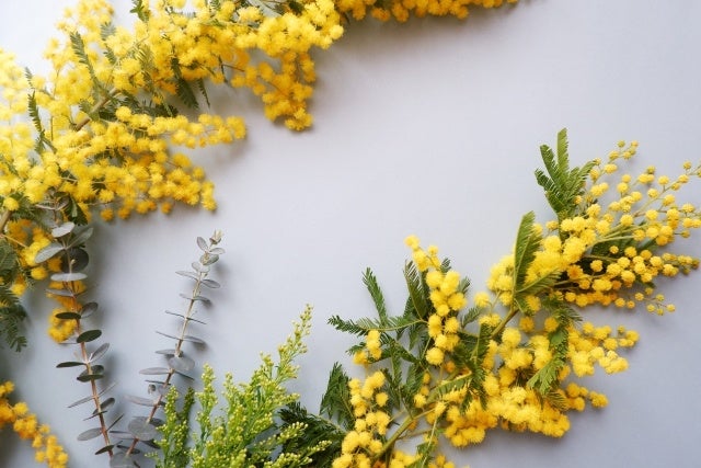 野菜高騰の今だから、“収穫の楽しさ”を体験しながらおトクにゲット。農園リゾートTHE FARMが来園者向けに「あま~いフルティカトマト盛り放題」イベントを実施中