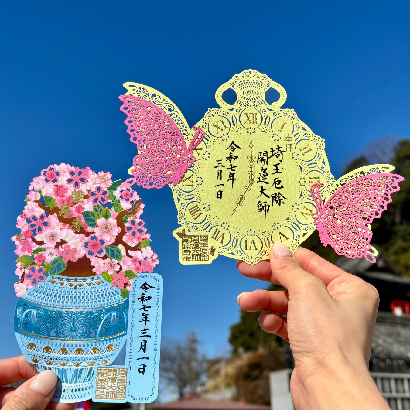 のんほいパークにもラッコはいた！　愛知県・豊橋市自然史博物館でラッコの標本展示中