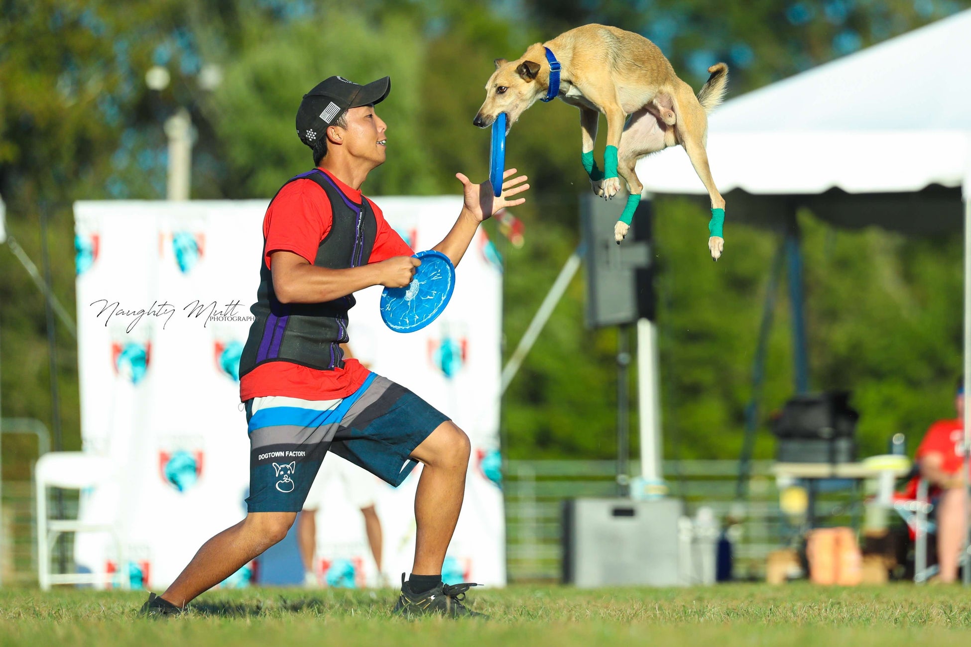 【ホテルJALシティ青森】客室リニューアル “青森の余韻に浸る” デザインルームが誕生