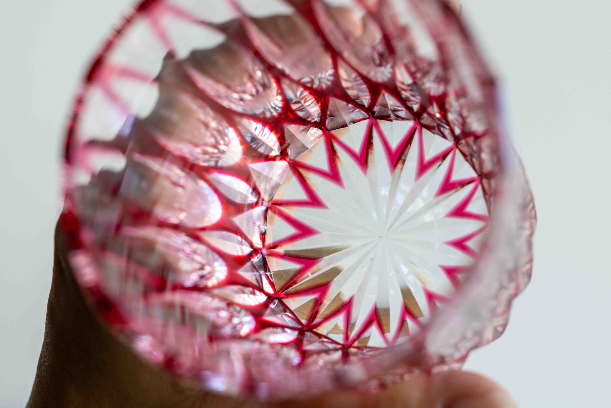 【アクアワールド茨城県大洗水族館】水族館や動物園のマスコットキャラクターが大集合！『FIGHT11スプリングキャンペーン２０２５』【２０２５年３月１６日（日）　１４：００～１５：３０】