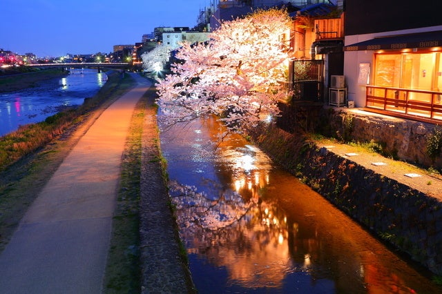 トキエア、3・4月機内配布菓子のご案内