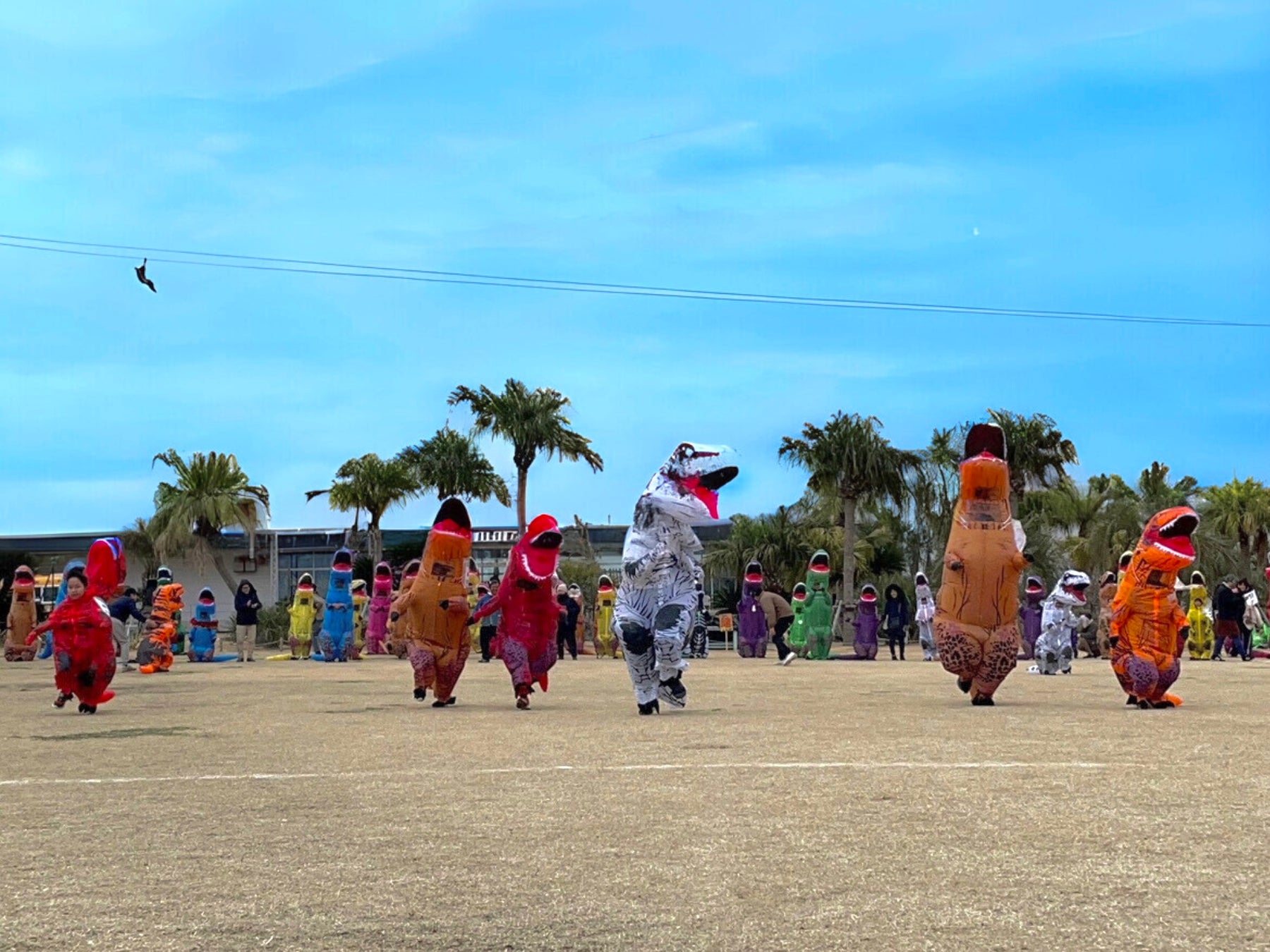 サンシャインシティの『キャラもりっフェス』にすみっコぐらし「えびふらいのしっぽ」・「えびてんのしっぽ」と「コリラックマ」が登場!<4月6日(日)開催>