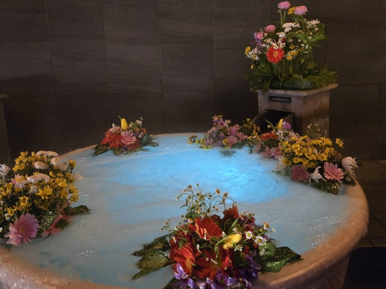 六甲山アスレチックパークGREENIA(グリーニア) 一生忘れない、春の思い出づくりを! 春の学生応援キャンペーン『春アスレチック 2025』開催!