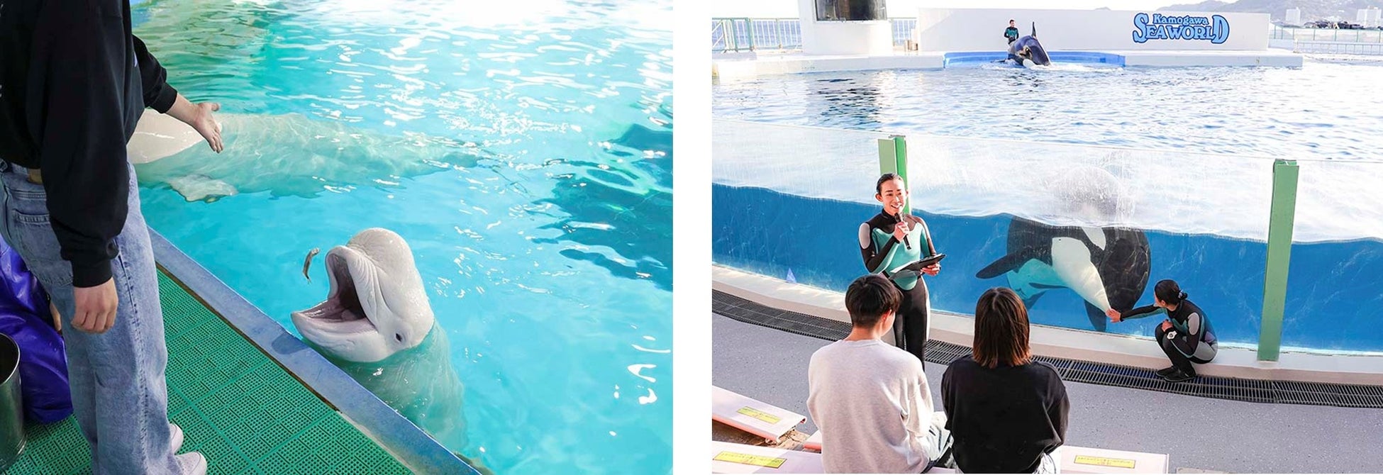 世界初!伊藤園「お~いお茶」とのコラボレーションルームが期間限定登場!「お~いお茶くん」に“ほっと”癒される、春の非日常ステイ『「お~いお茶くん」デコレーションルーム』販売開始