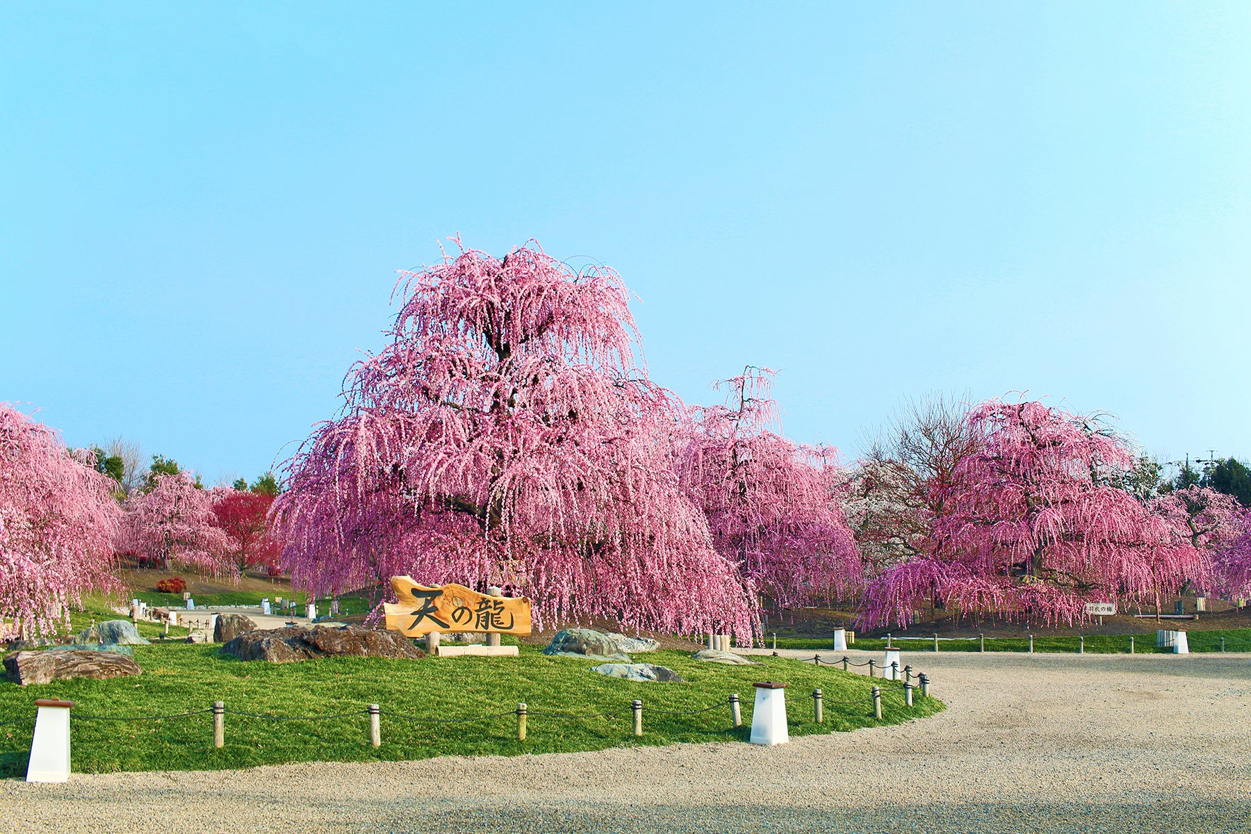 リソルホールディングスが4年連続で 『健康経営優良法人2025(大規模法人部門)』に認定