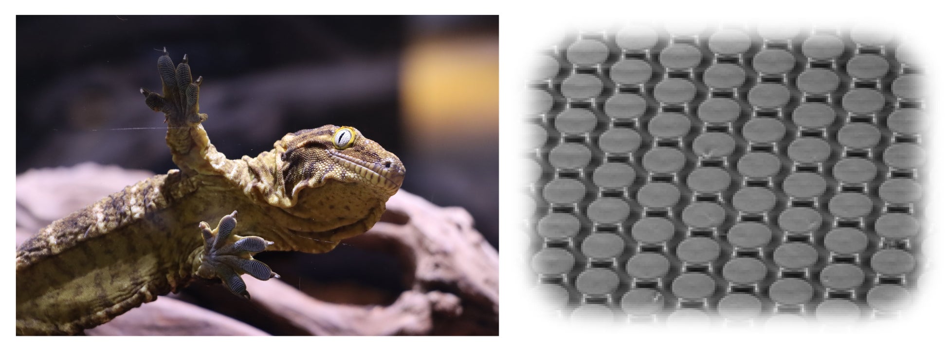 【神奈川県　横須賀市】三笠公園リニューアル事業　Park-PFI基本協定締結