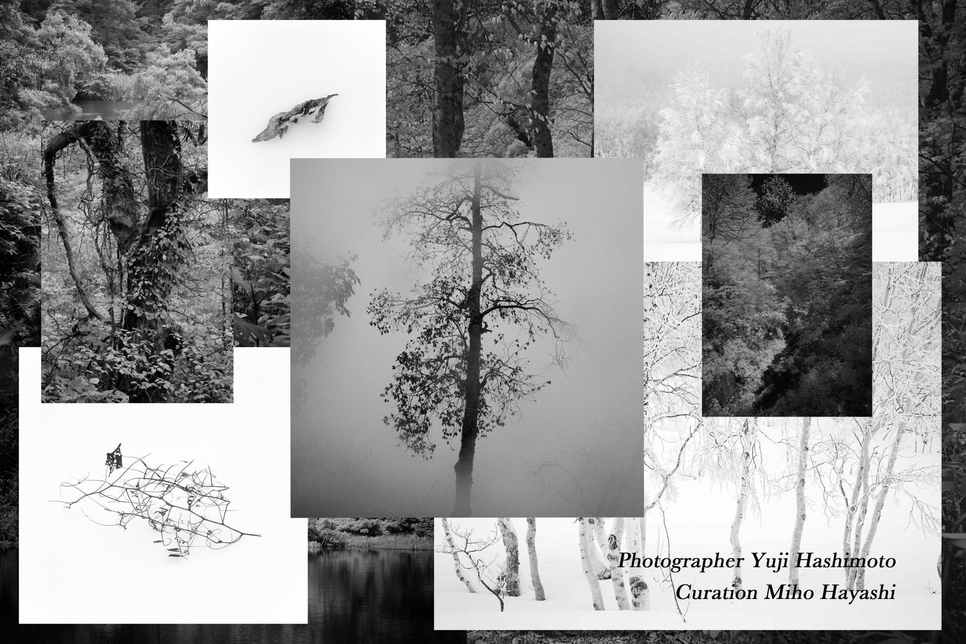 【大阪・関西万博１カ月前～直前イベント開催】環境・ＳＤＧｓを学び、遊べる 『ATCパビリオン』