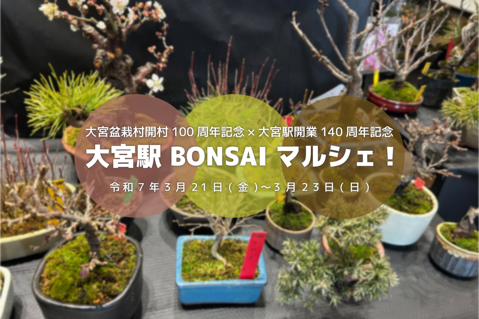 Plan・Do・Seeと東京割烹「くろぎ」オーナシェフ 黒木純が合弁会社「株式会社黒PDS」を設立、2025年9月に「ザ ソウドウ 東山京都」レストランを大規模リニューアル
