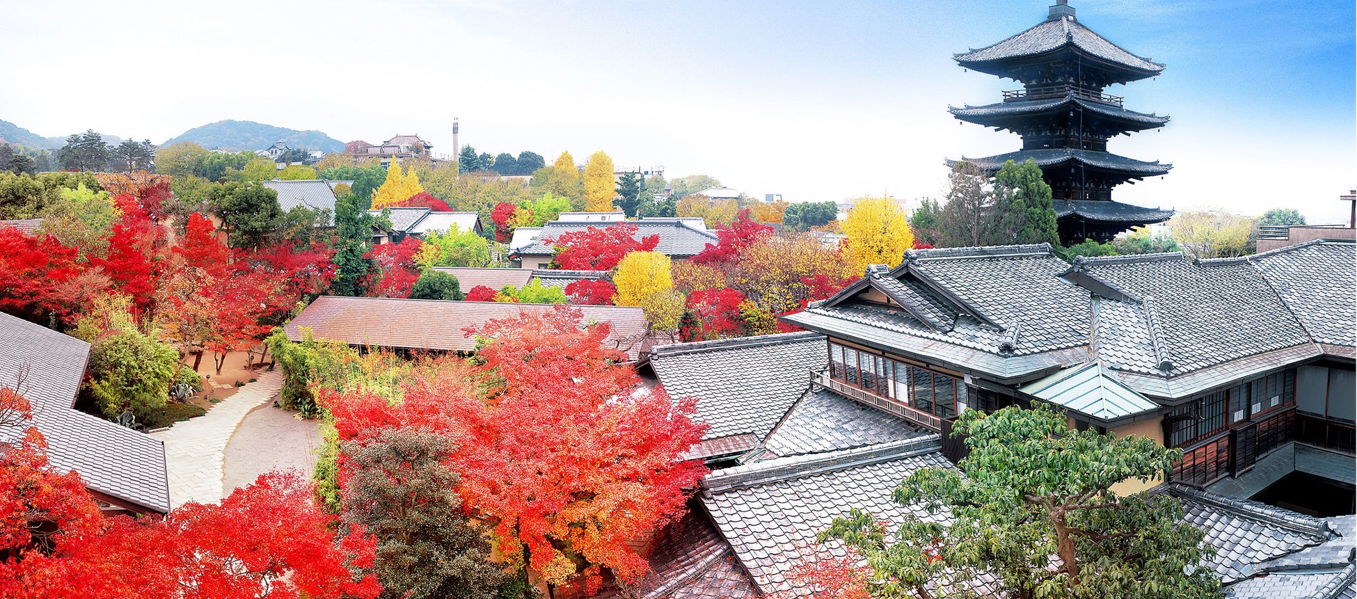 3/21〜3/23に大宮盆栽村開村100周年記念×大宮駅開業140周年記念「大宮駅 BONSAI マルシェ！」を開催します！
