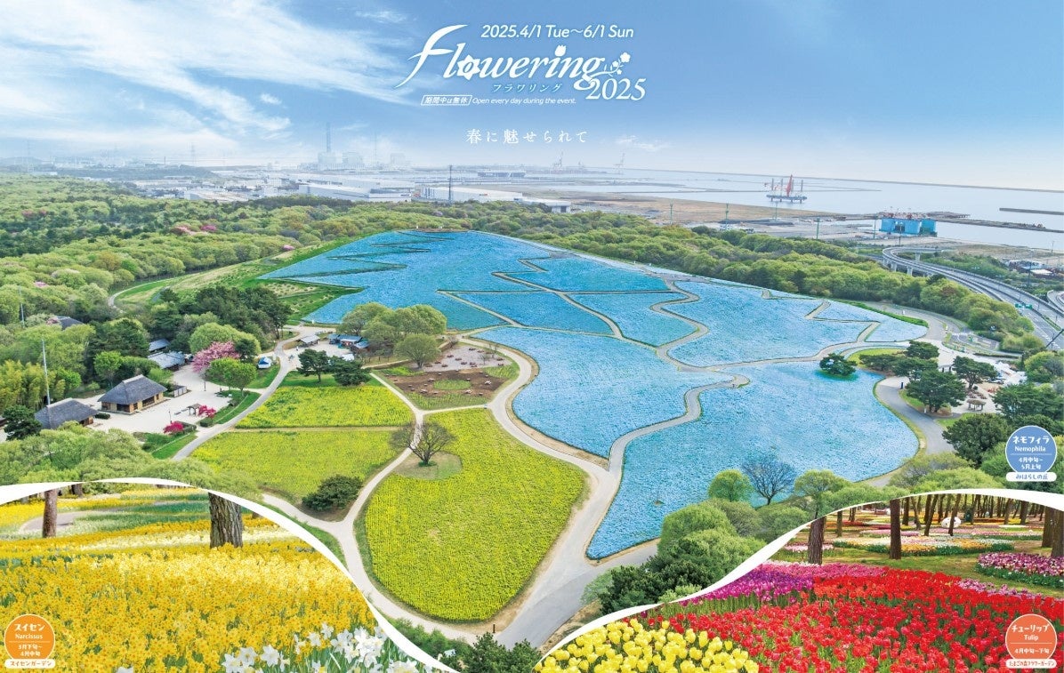 福井県の海を一望できる2000坪の広大な土地に、1日1組限定の一棟貸し宿泊施設「waku terrace」が遂にグランドオープン！