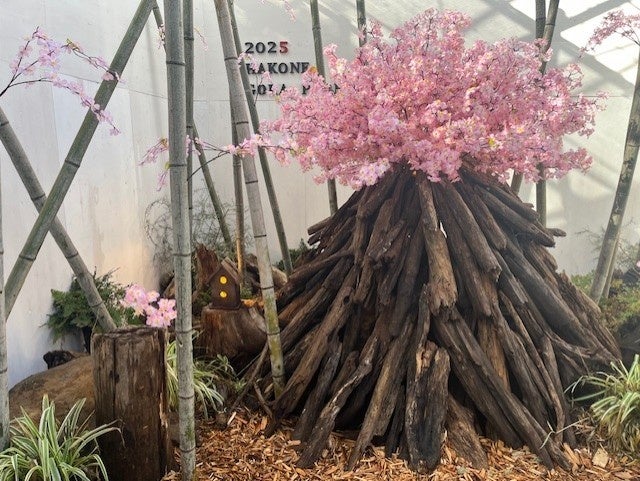 新倉山浅間公園・忍野八海・河口湖の桜鑑賞スポットを巡る河口湖発着半日バスツアー開催