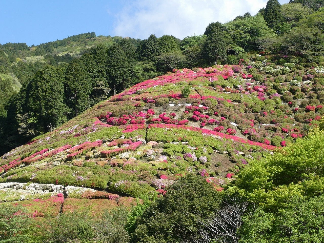 【ホテルオークラ福岡】チャリティロビーコンサートで集まった支援金を東日本大震災復興支援として寄付