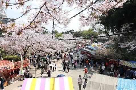【星のや富士】ウイスキー香る炎をまとうかき氷「夏夜の森 グランピング焼き氷」を提供