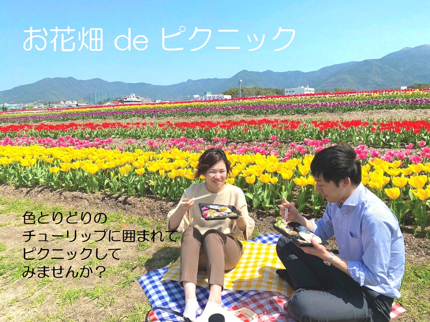 【ホテルグランヴィア大阪】劇団四季とのコラボレーション企画!ミュージカル『ウィキッド』の世界観に浸るアフタヌーンティーセット&ドリンクを販売